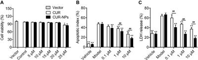 Curcumin-Loaded mPEG-PLGA Nanoparticles Attenuates the Apoptosis and Corticosteroid Resistance Induced by Cigarette Smoke Extract